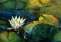 Detail - Waterlelie Witte Bloem