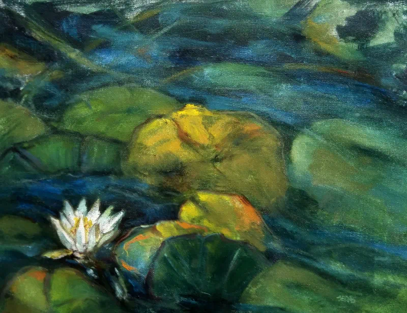 Waterlelie Witte Bloem